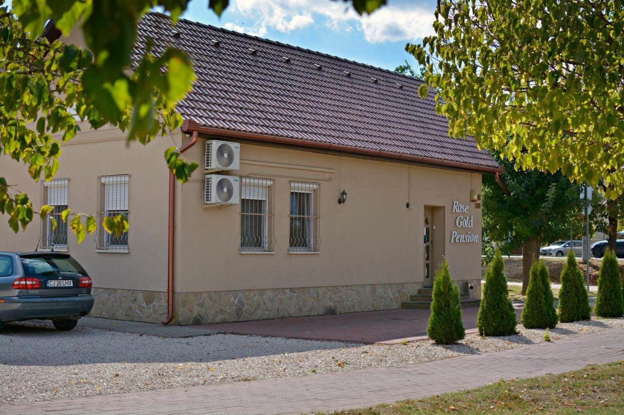 R.Gold Apartman Makó 外观 照片